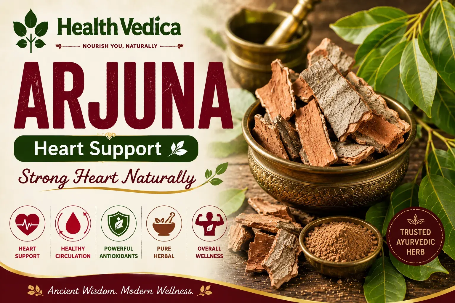 Arjuna Bark — Heart Health