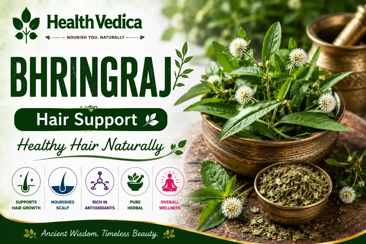 Bhringraj — Hair Health