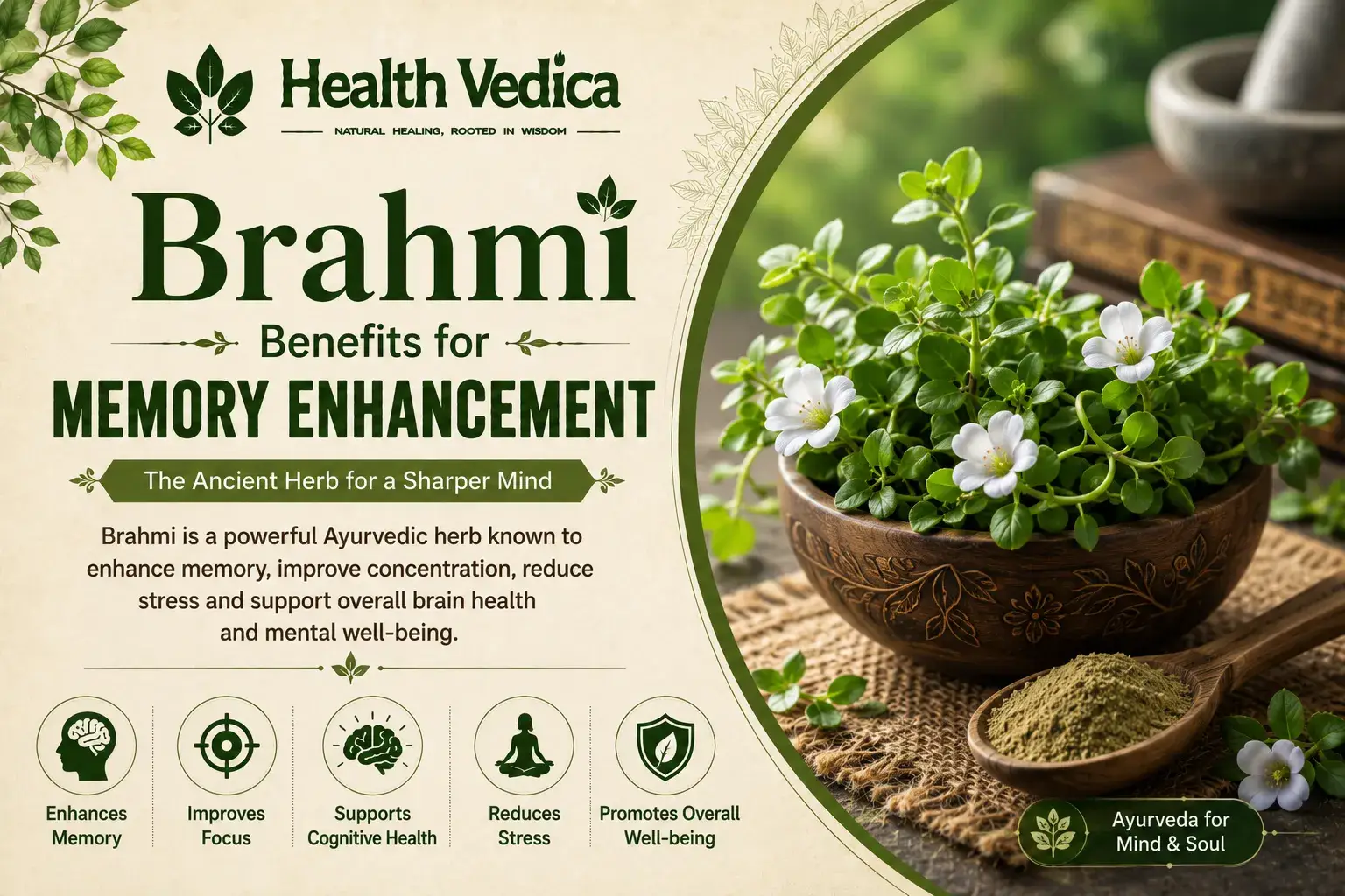 Brahmi (Bacopa) — Memory Enhancement
