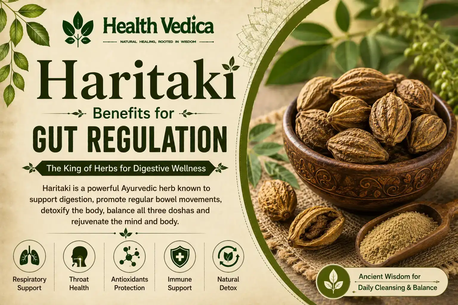 Haritaki (Harad) — Digestive Cleansing
