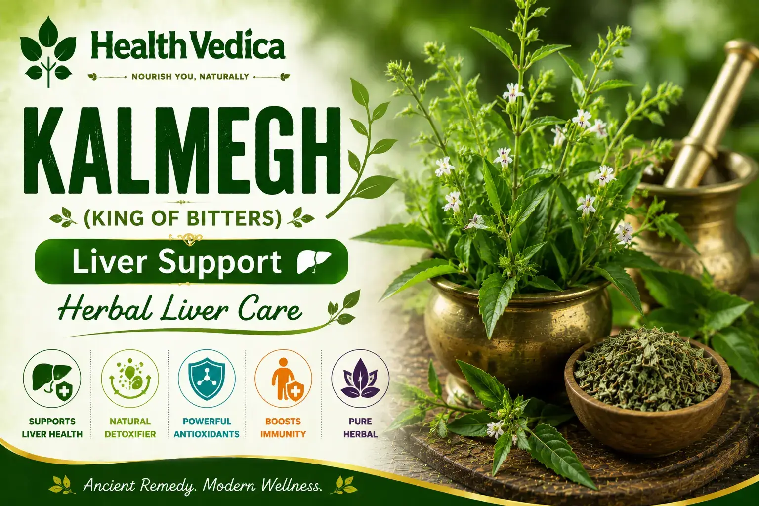Kalmegh — Immune Support
