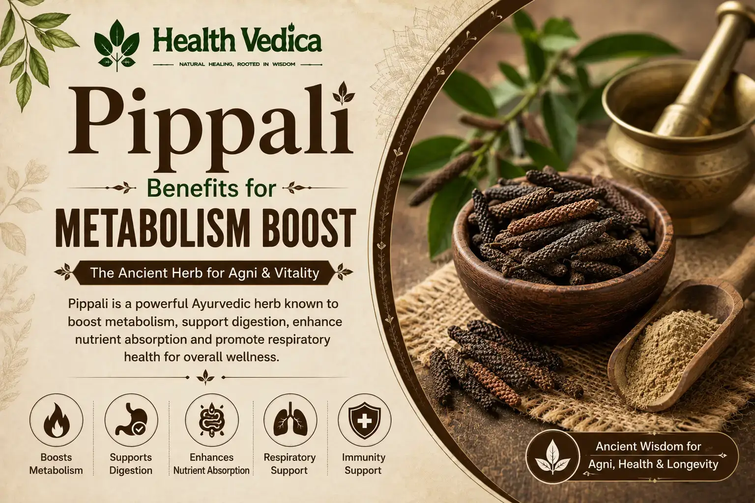 Pippali (Long Pepper) — Metabolism Boost