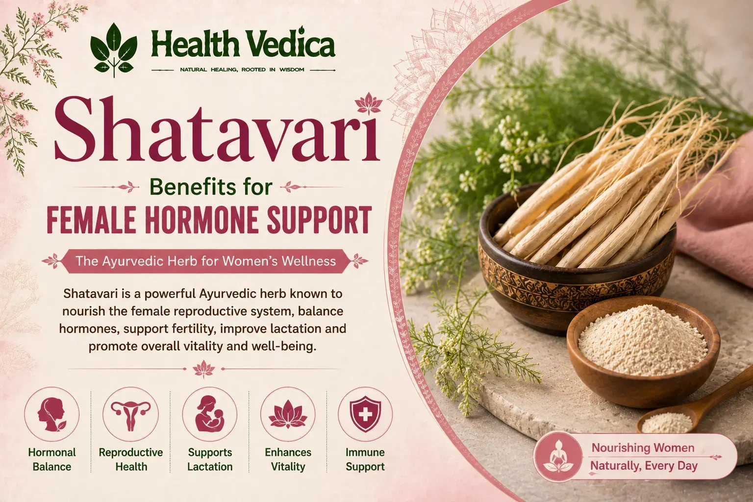 Shatavari (Asparagus racemosus) — Female Hormone Support