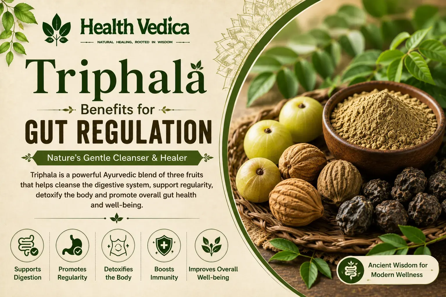 Triphala (Three Fruits Formula)