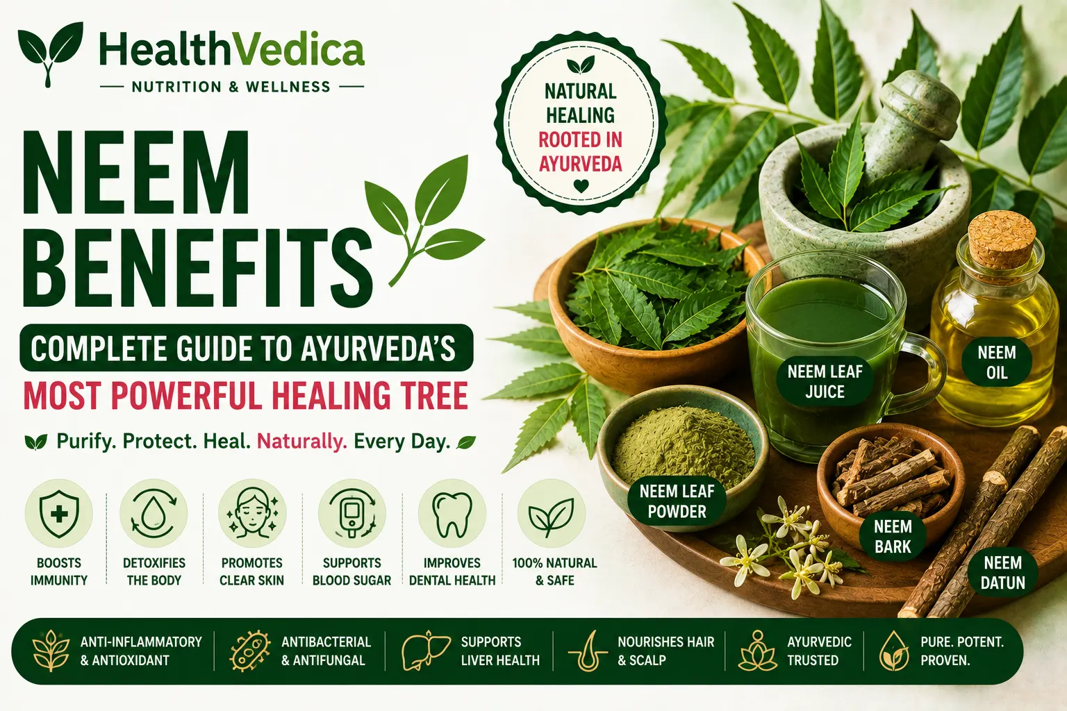 Neem Health Benefits and Uses