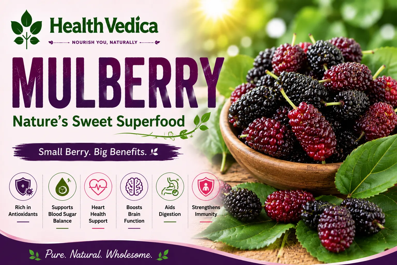 Mulberry (Shahtoot) — Blood Sugar Support
