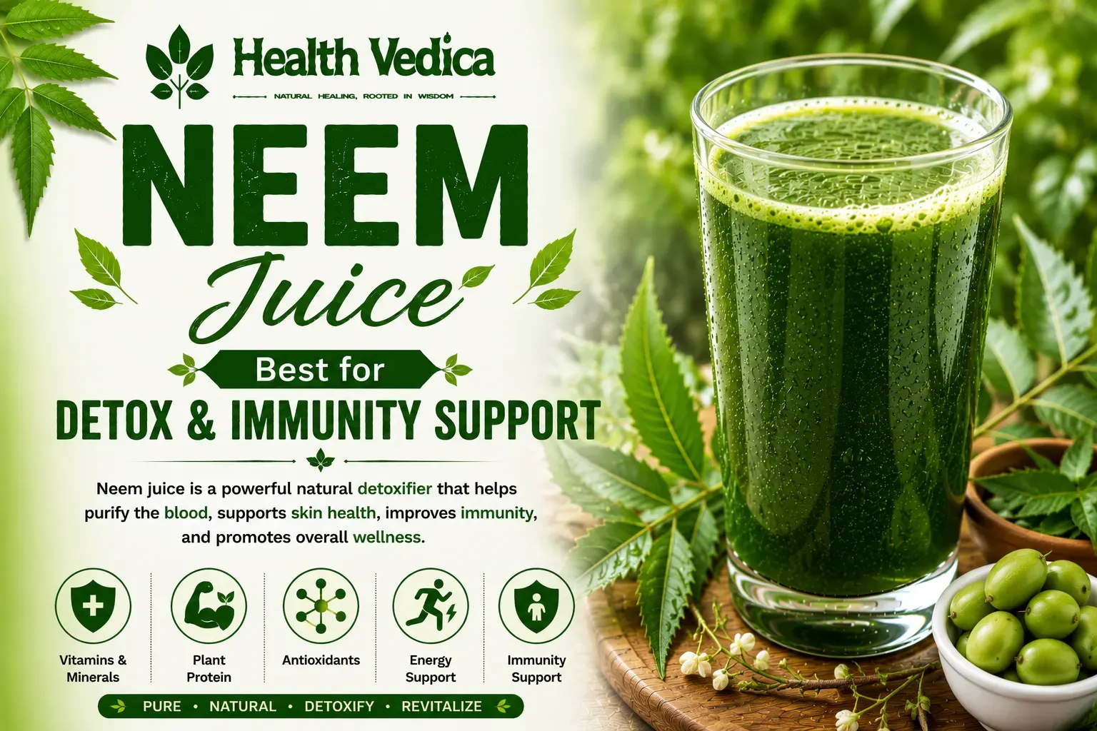 Neem Juice (Neem Leaf Juice) — Blood Purification