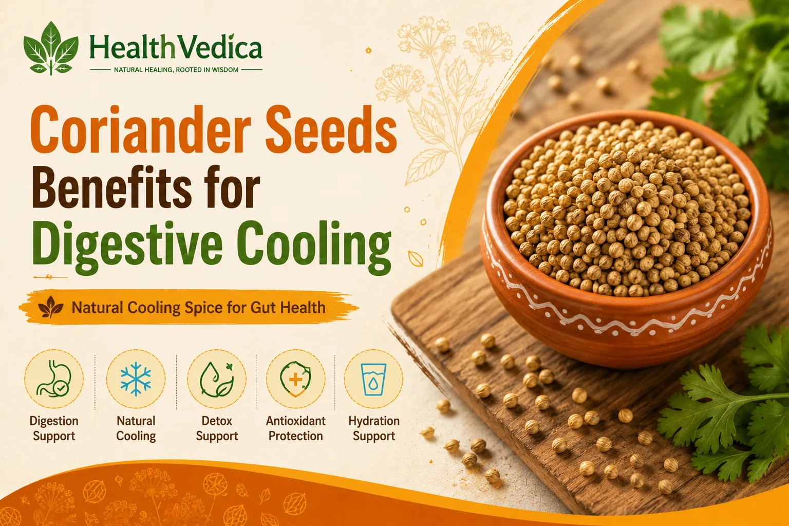 Coriander Seeds (Dhaniya) — Digestive Cooling