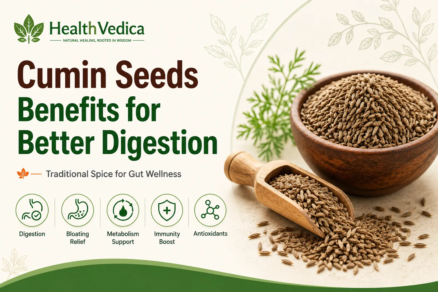 Cumin Seeds (Jeera)