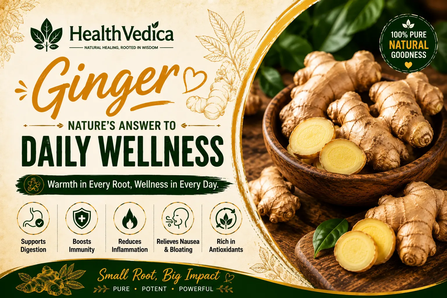 Ginger (Adrak/Sonth) — Anti-Inflammatory Support