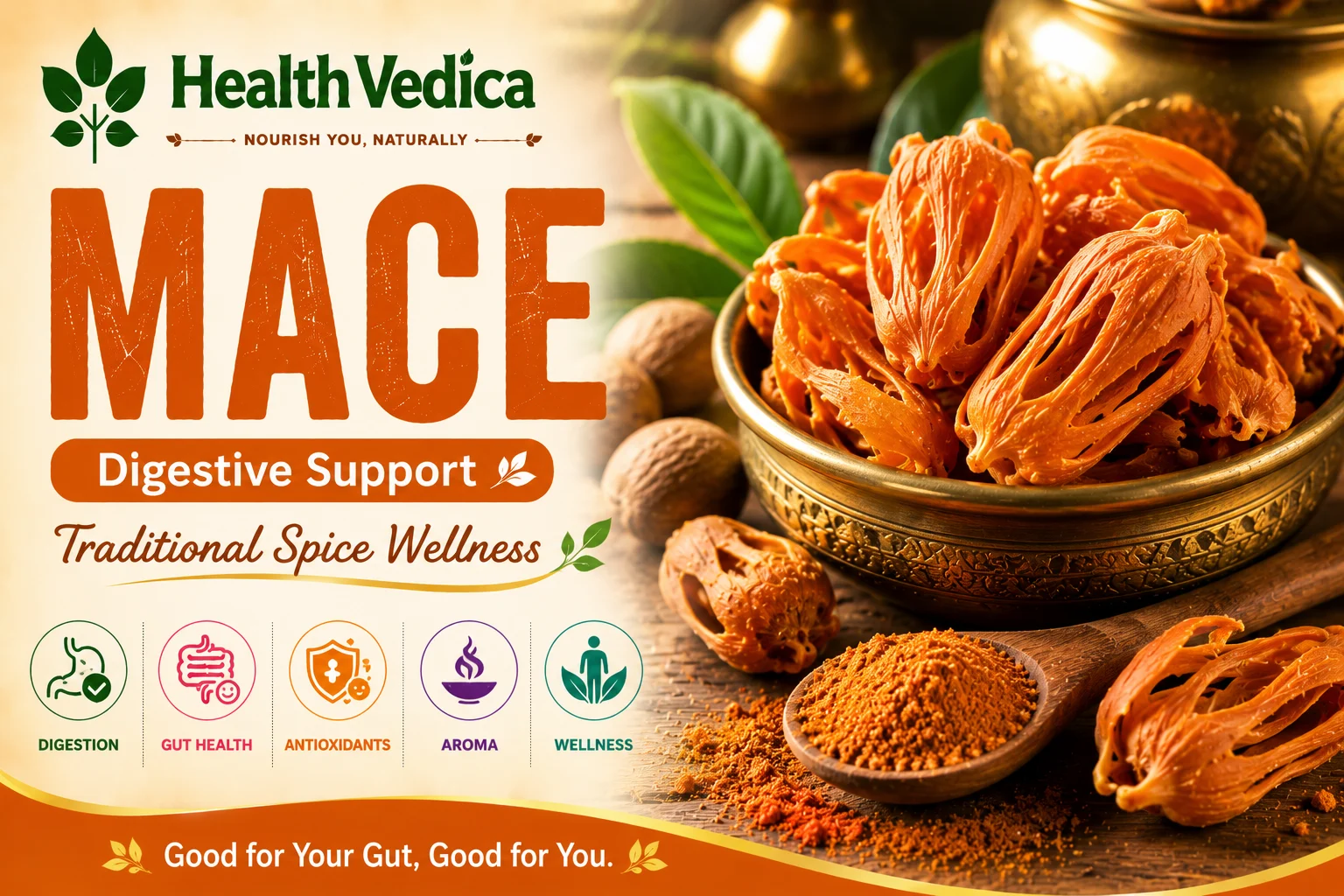 Mace (Javitri) — Digestive Health
