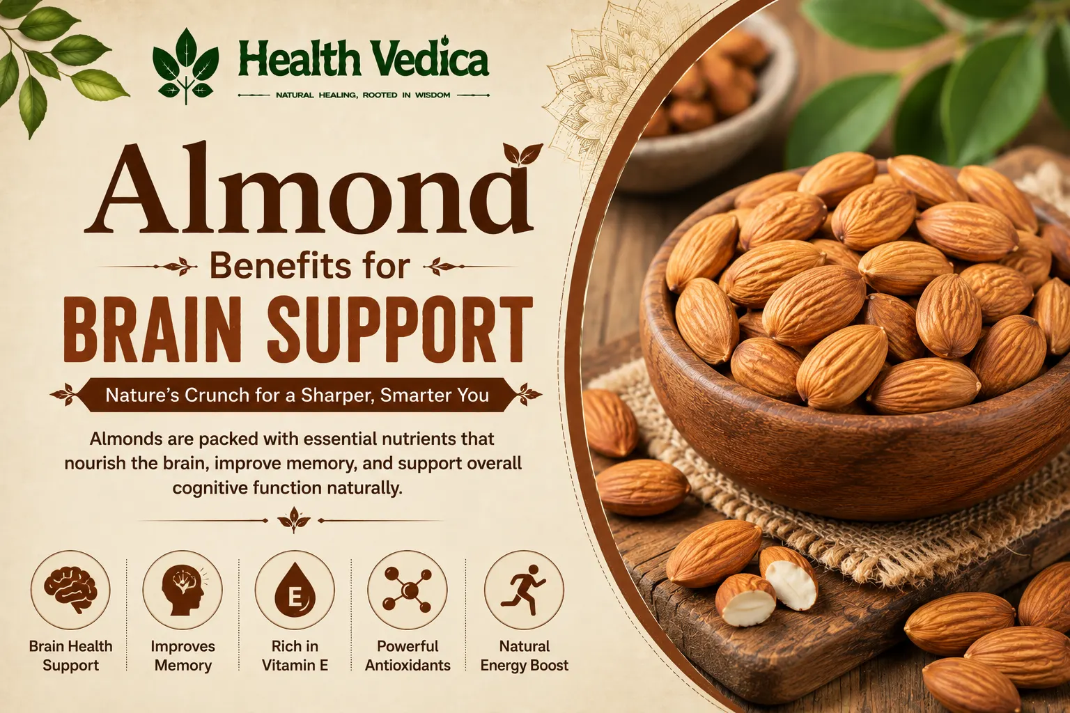 Almonds (Badam) — Brain Support