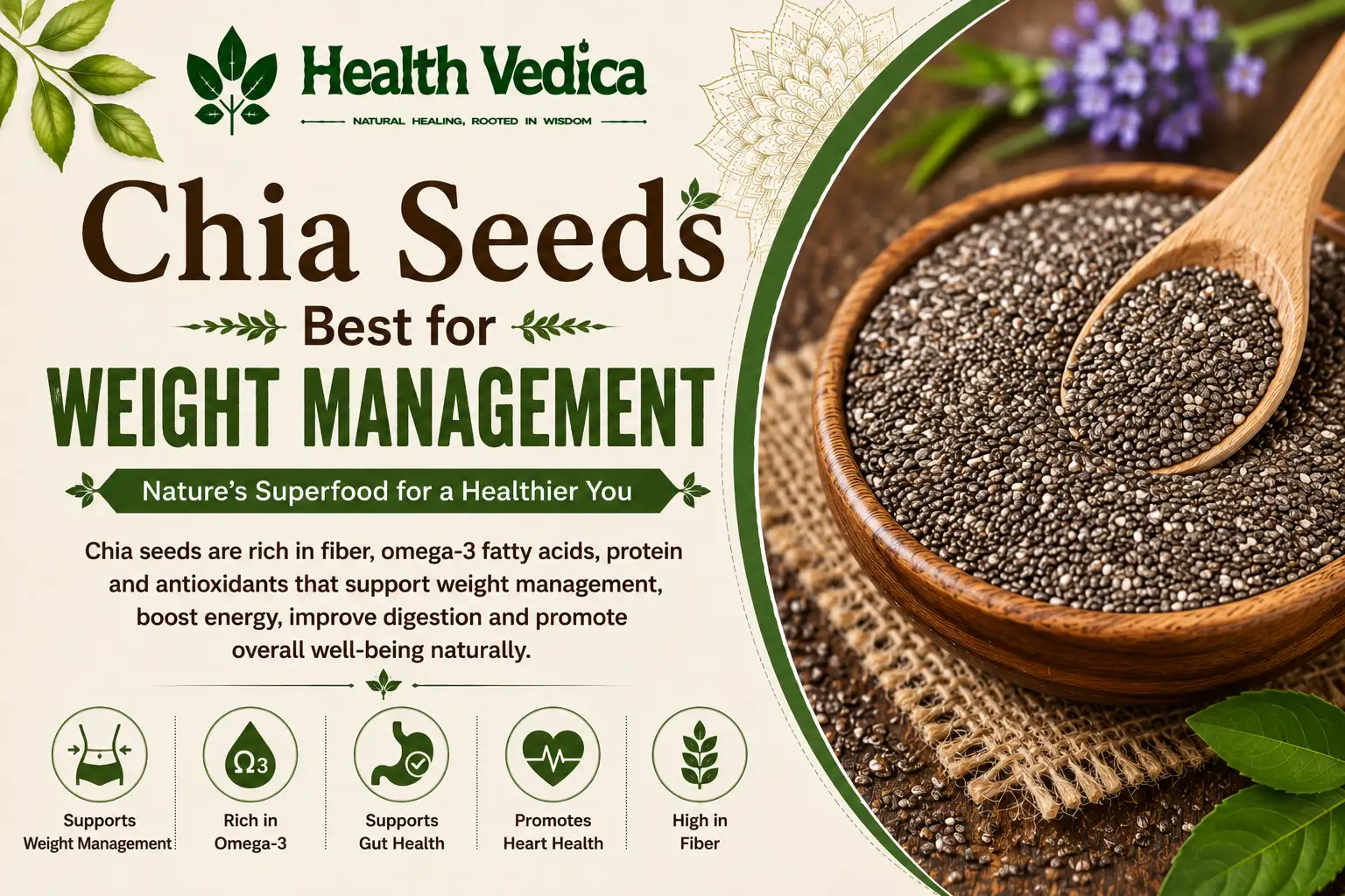 Chia Seeds — Gut Health