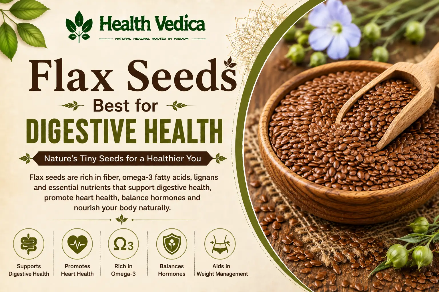 Flax Seeds (Alsi) — Hormone Balance