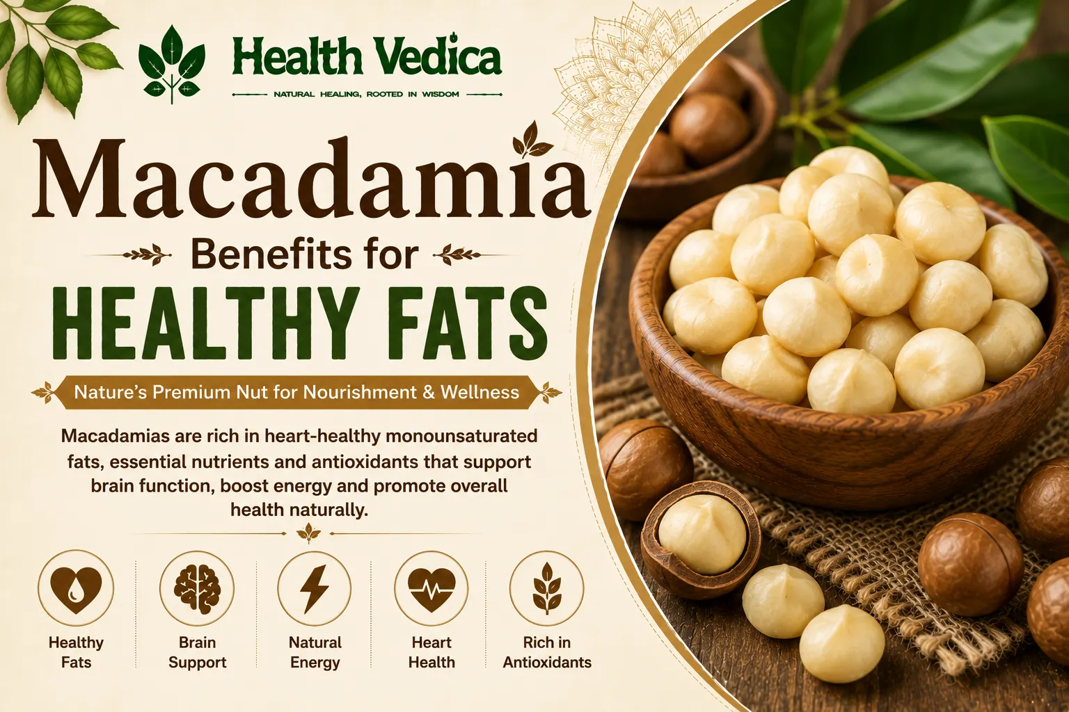 Macadamia Nuts — Healthy Fats