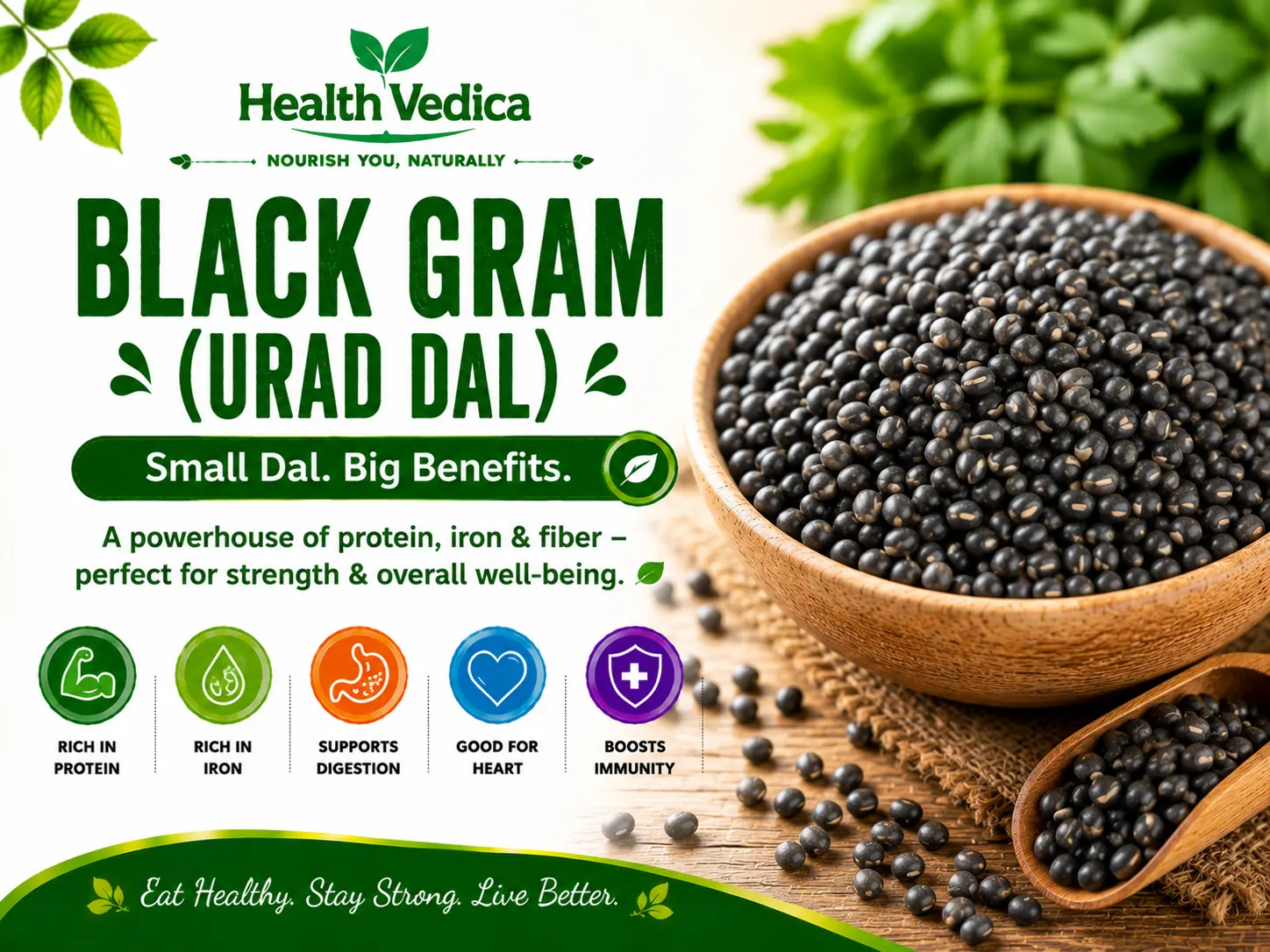 Black Gram (Urad Dal) — Protein, Bone Strength & Digestive Health