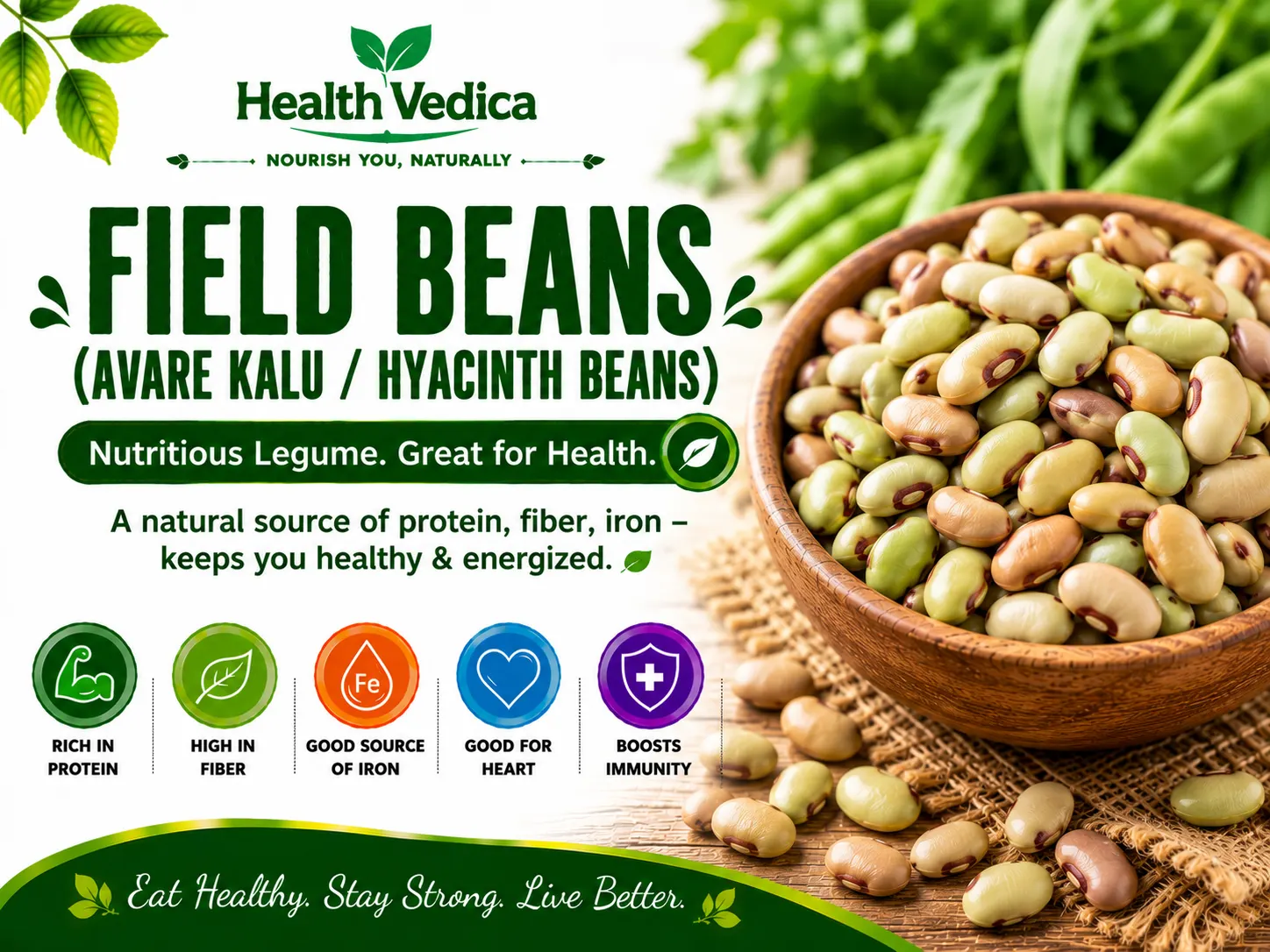 Field Beans (Val) — Plant Protein & Digestive Health