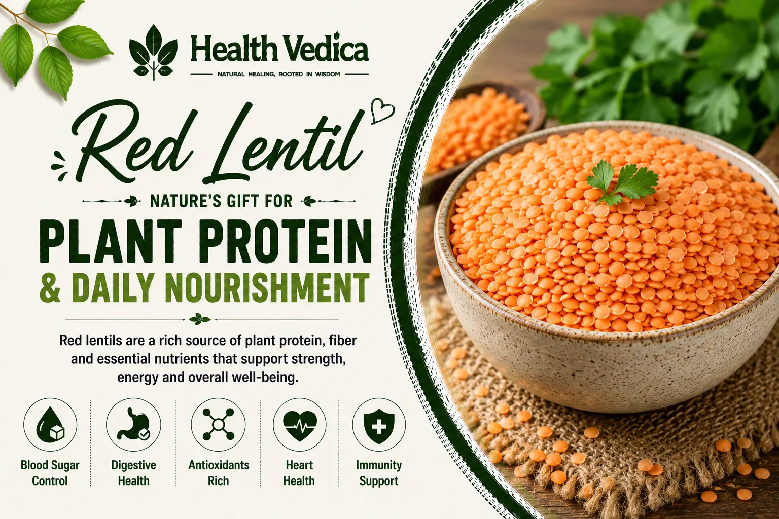 Red Lentils (Masoor Dal) — Protein & Iron