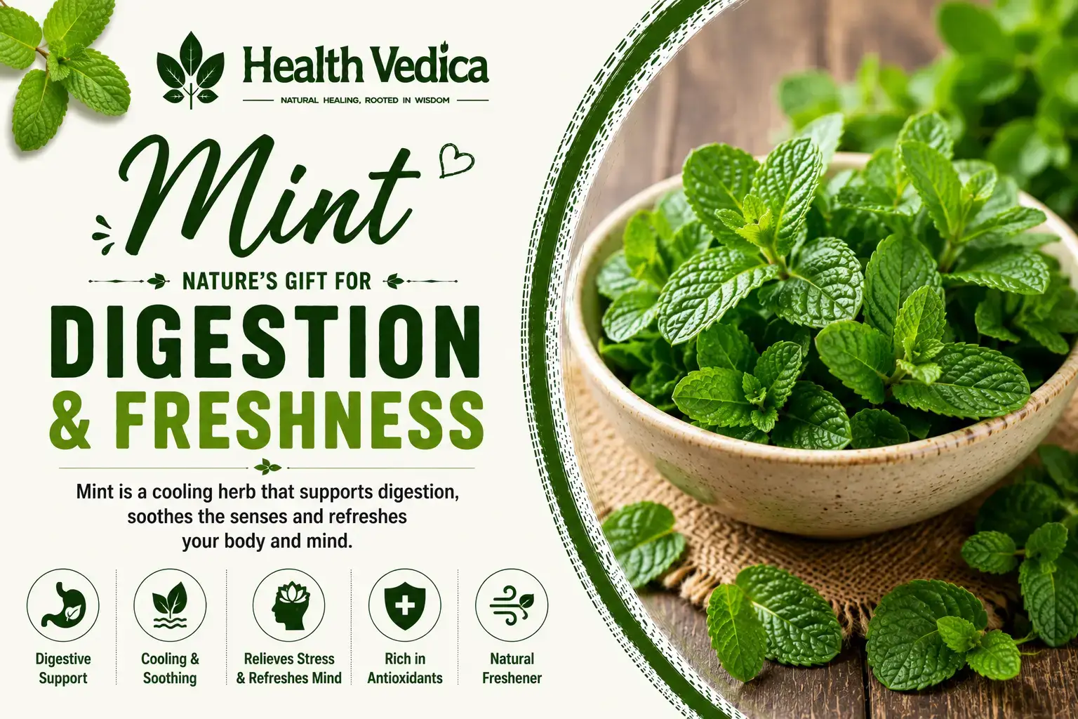 Mint (Pudina)