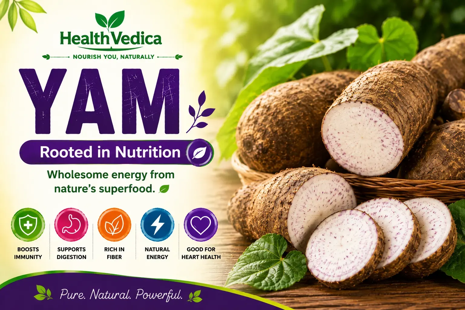 Yam (Suran)
